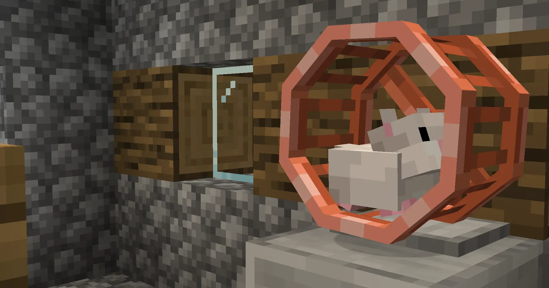 Hamster Wheel